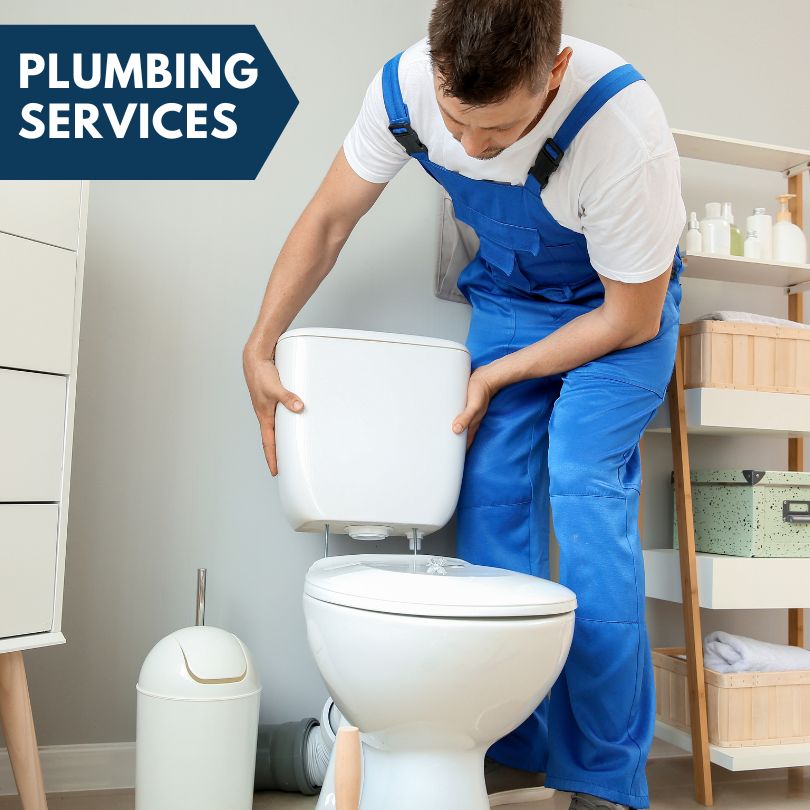 Plumbing Company in Almont, MI